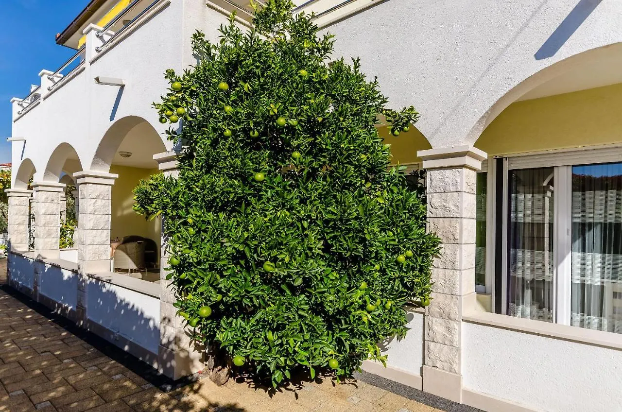 Apartments Palm Tree Trogir